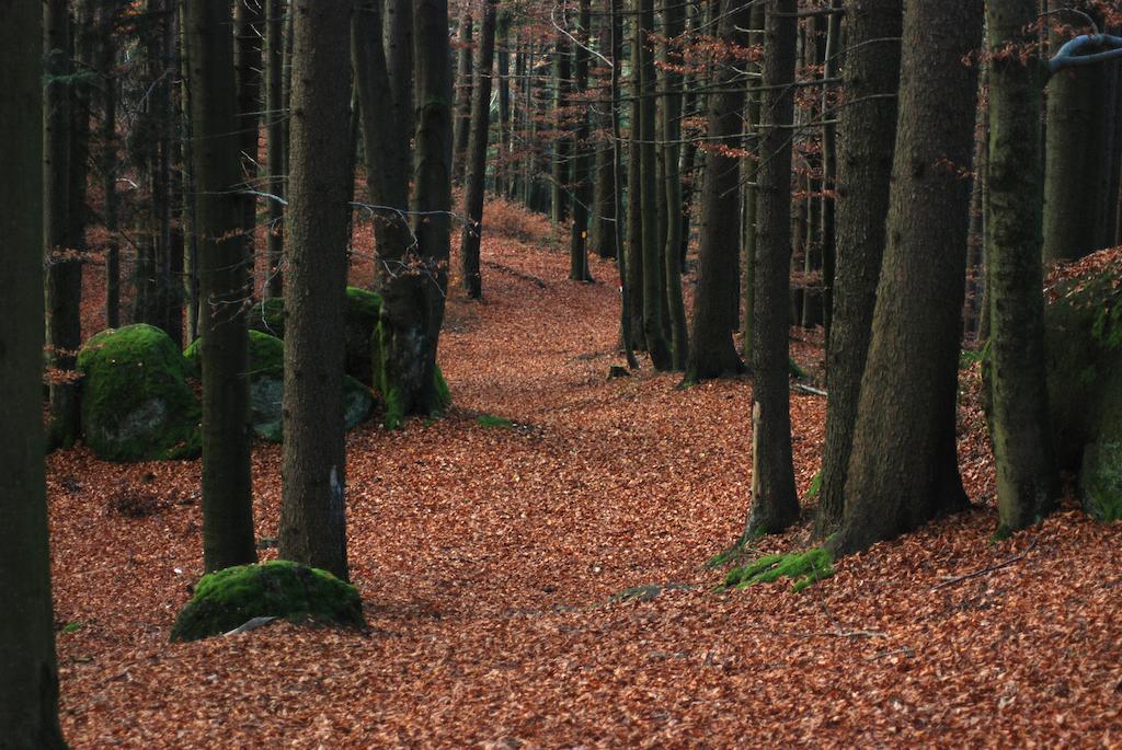 Gasthof Und Pension Haunschmid Rechberg Exteriör bild