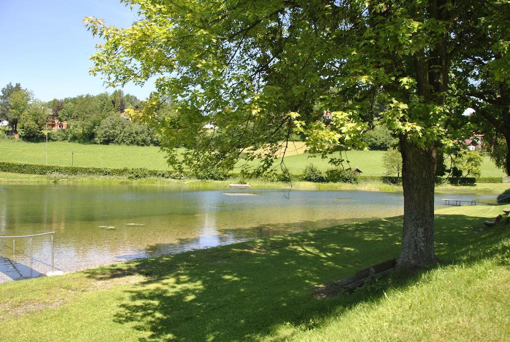 Gasthof Und Pension Haunschmid Rechberg Exteriör bild
